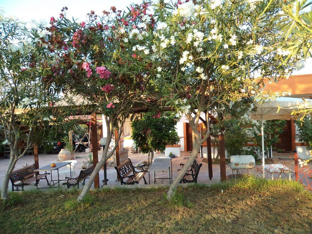 Daydream Hill Hotel Stavros  Bagian luar foto